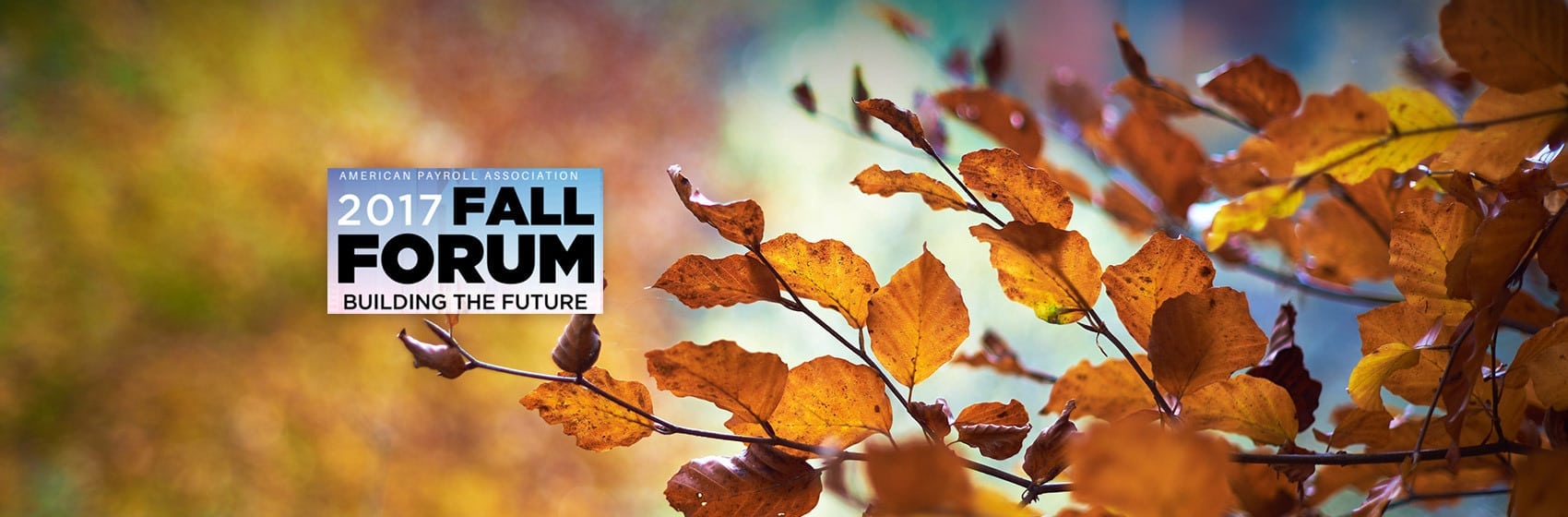 Autumn Leaves and fall forum